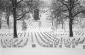 Arlington Cemetery